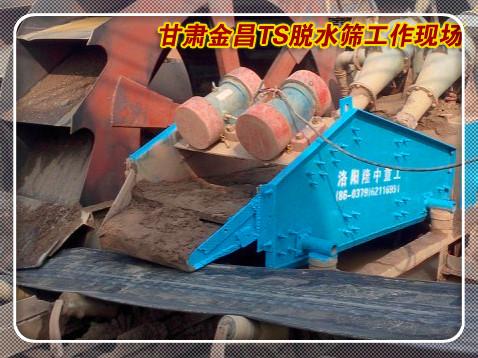 發往甘肅金昌脫水篩